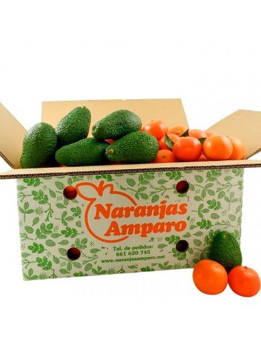 Gemischte Box Mandarinen und Avocados