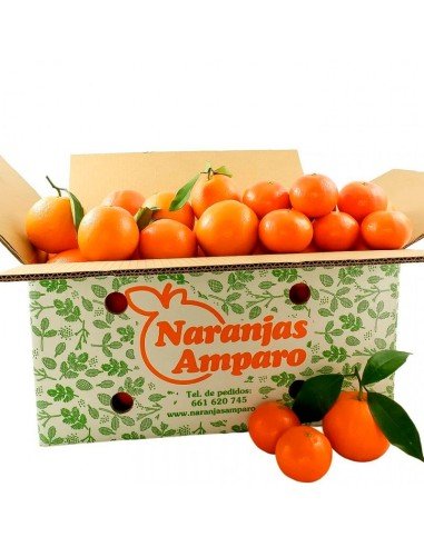 Gemischte boxen orangen und mandarinen
