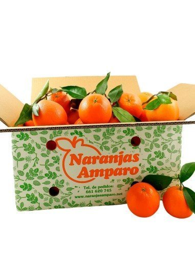 Frische Orangen 18 kg Kiste ★Jetzt im Angebot!★